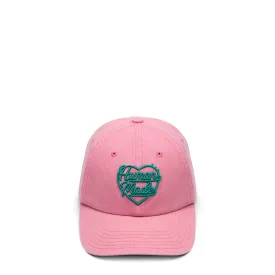 6 PANEL CAP #1