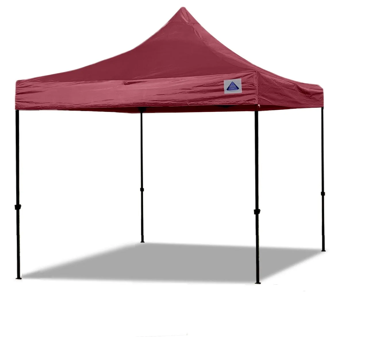 DS Model 10'x10' - Pop Up Tent Canopy Shelter Shade with Weight Bags and Storage Bag