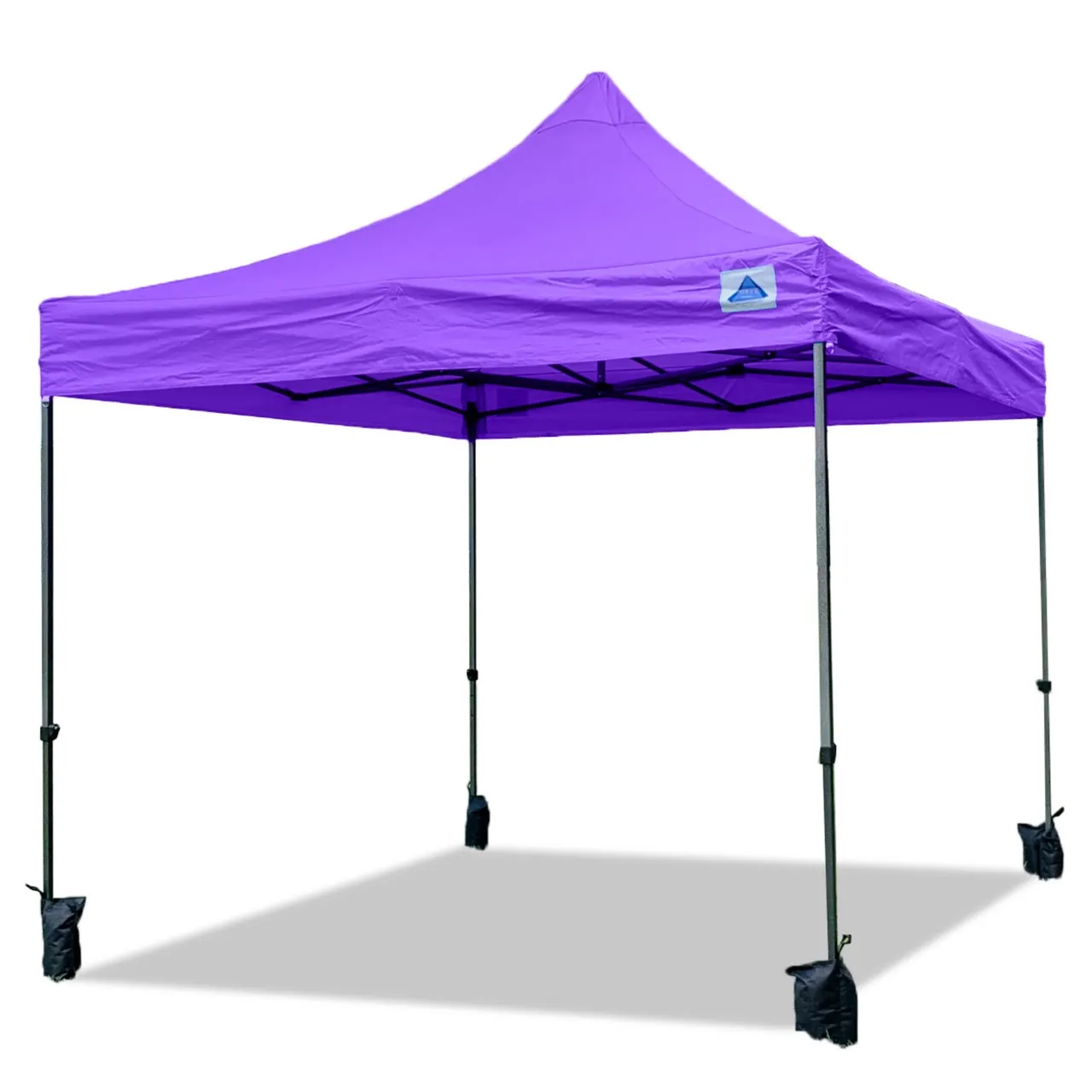 DS Model 10'x10' - Pop Up Tent Canopy Shelter Shade with Weight Bags and Storage Bag