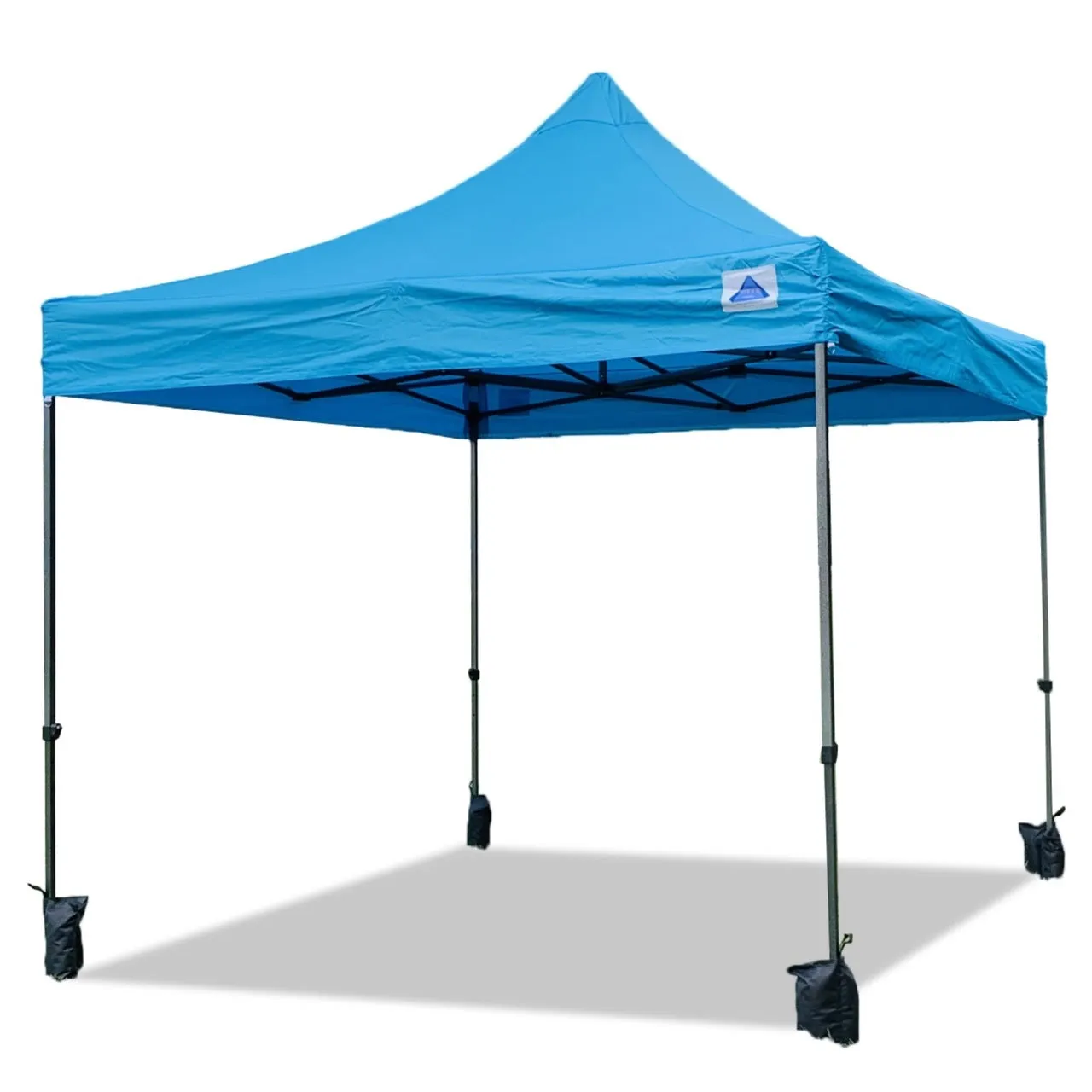 DS Model 10'x10' - Pop Up Tent Canopy Shelter Shade with Weight Bags and Storage Bag