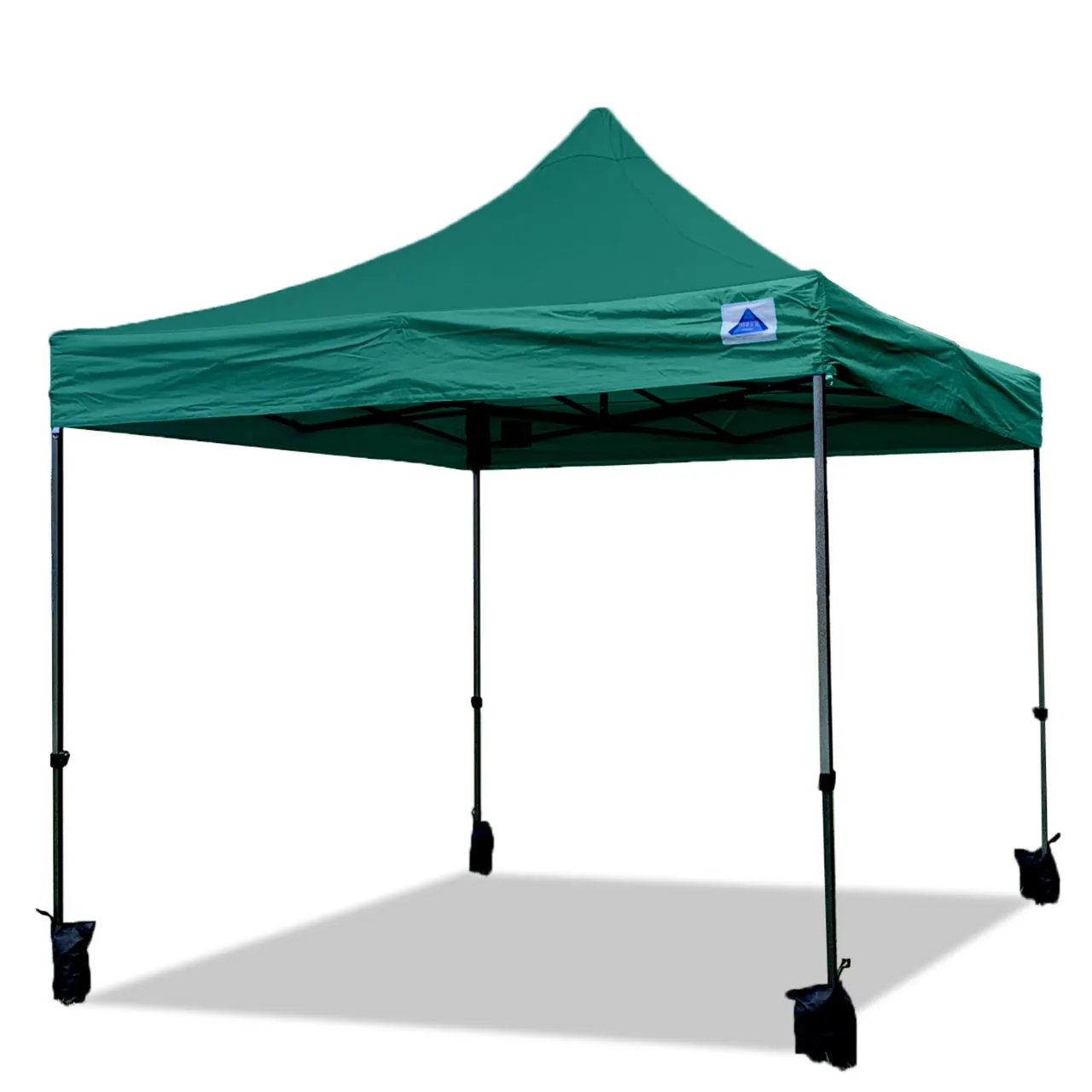 DS Model 10'x10' - Pop Up Tent Canopy Shelter Shade with Weight Bags and Storage Bag