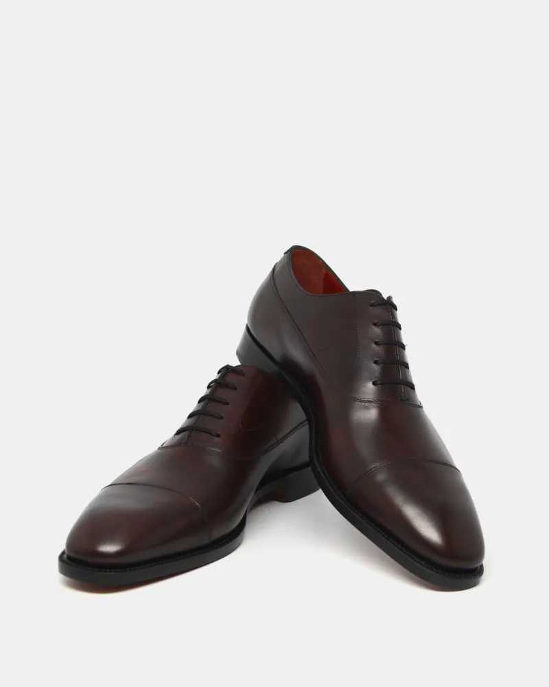 Robert - Museum Oxblood - 888